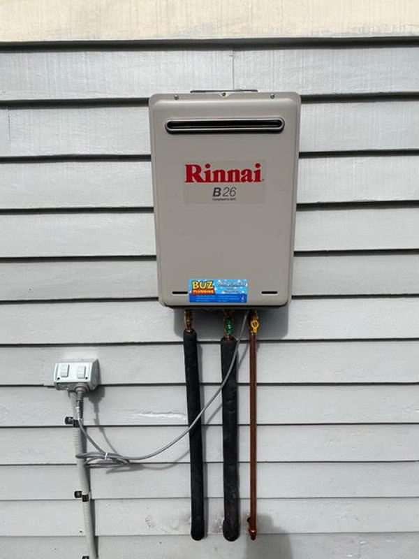 Rinnai Gas Filter