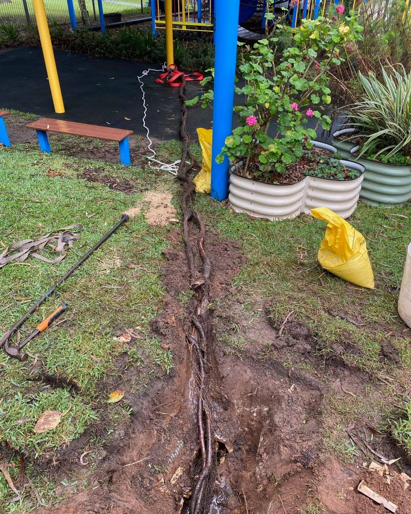 repair backyard blocked drain